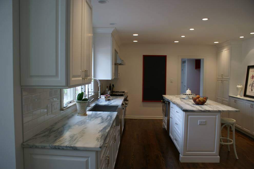 Kitchen - transitional kitchen idea in Chicago