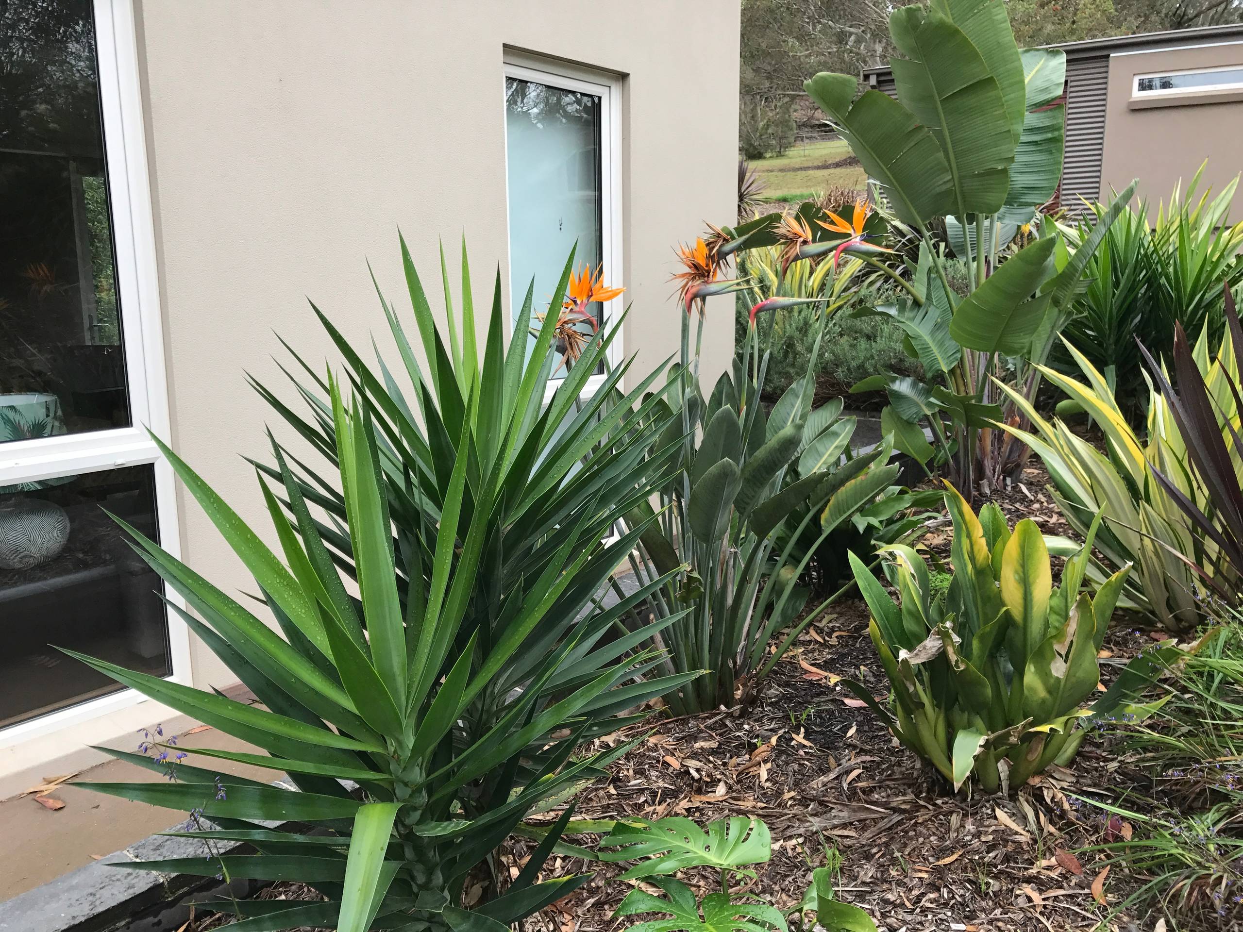 1920's home gets 2018 appeal - Total makeover