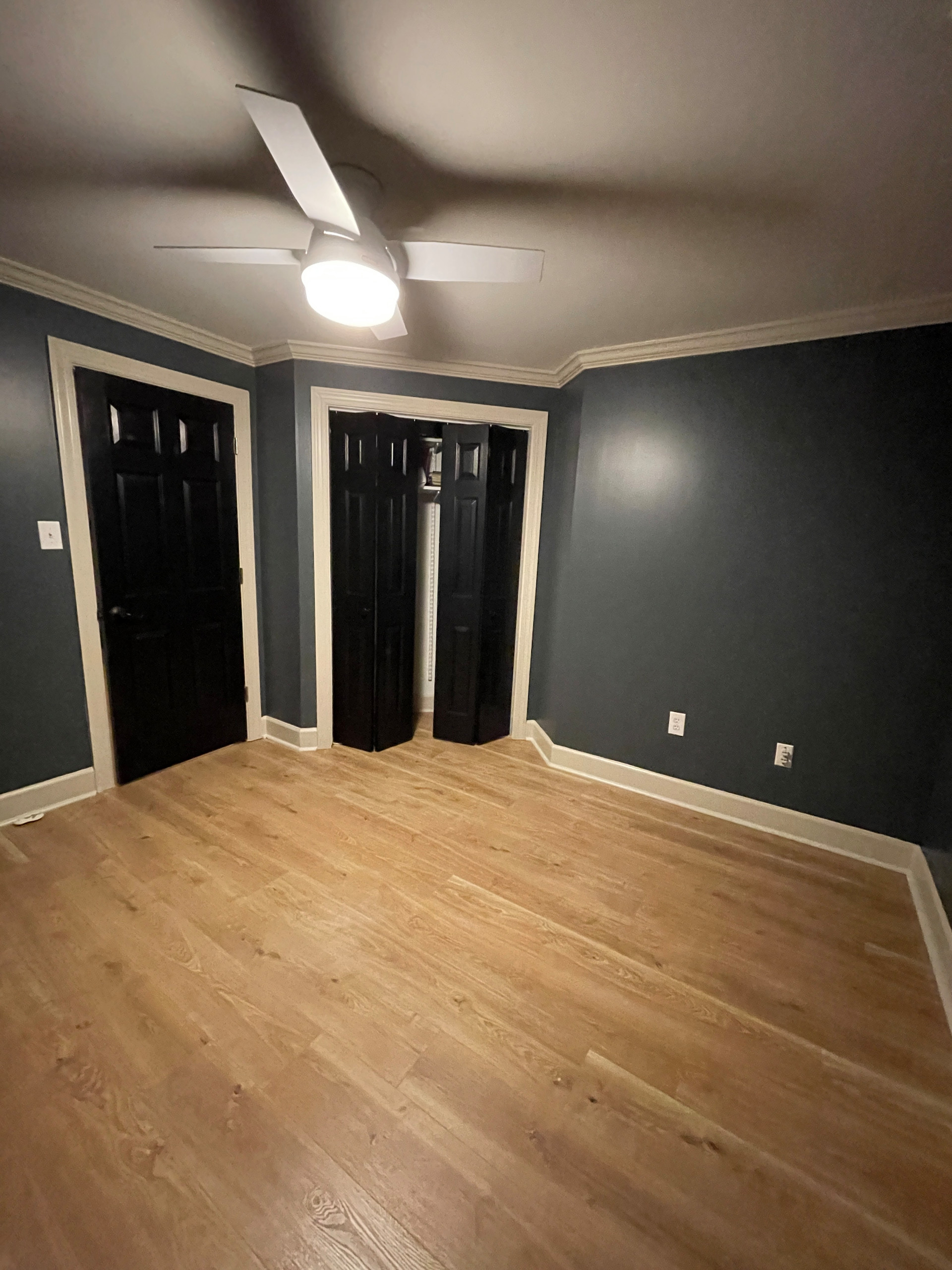 Full Basement Renovation