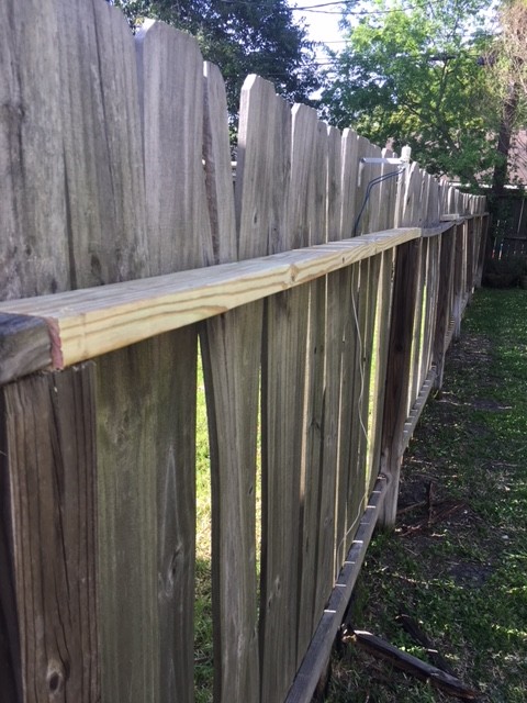 Fence & Gate Repairs