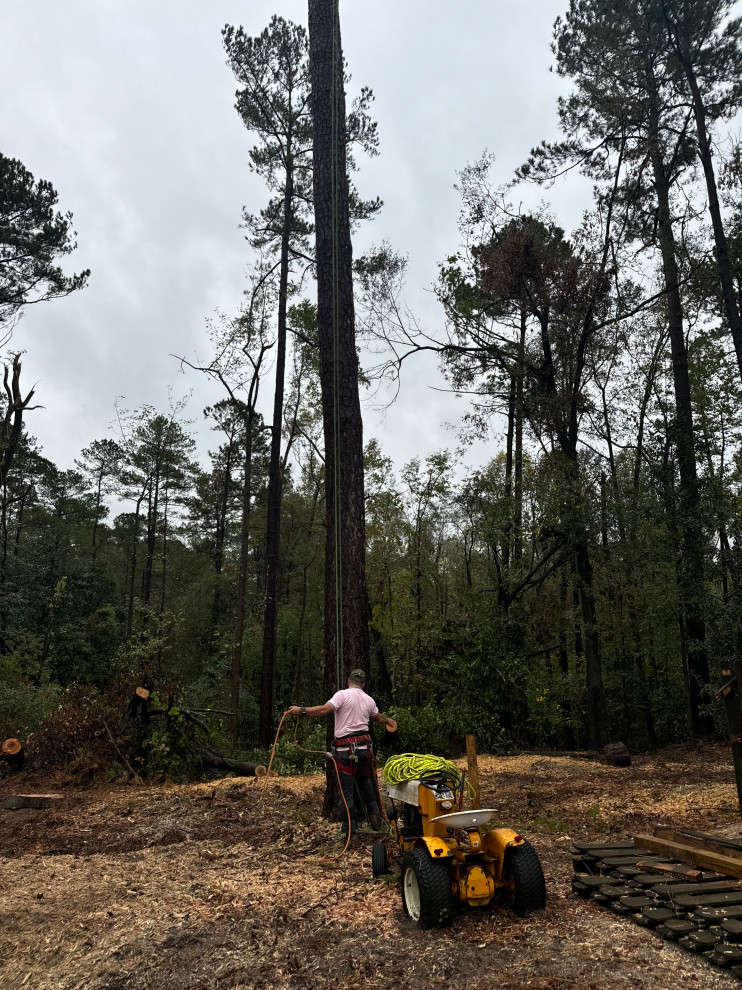 Full Tree Service