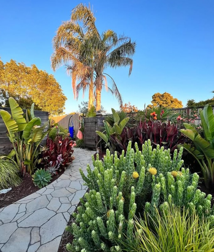 Scotts Valley Terraced Garden