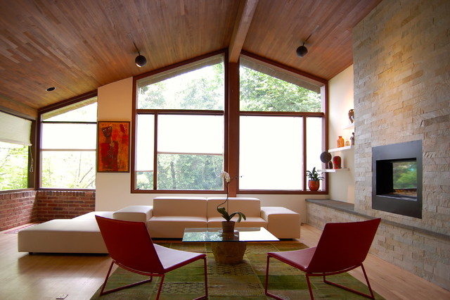 Shekar contemporary-living-room