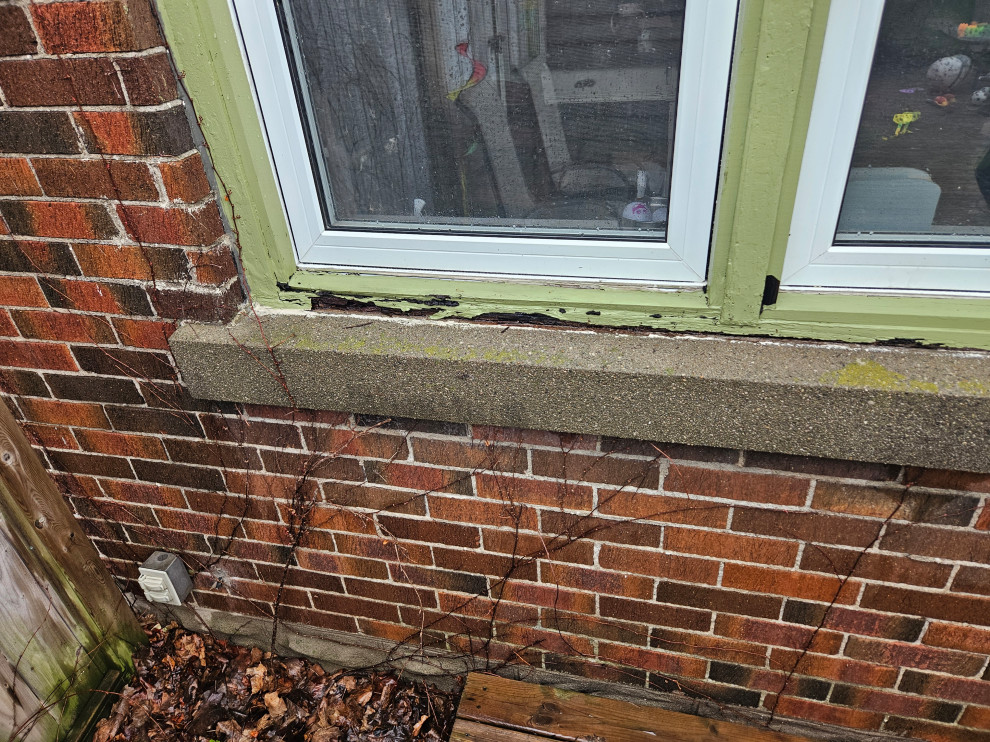 Window Trim Remediation