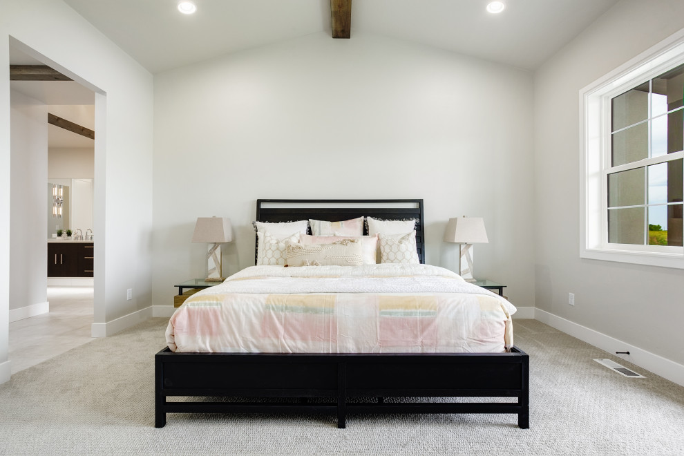 Photo of a modern bedroom in Boise.