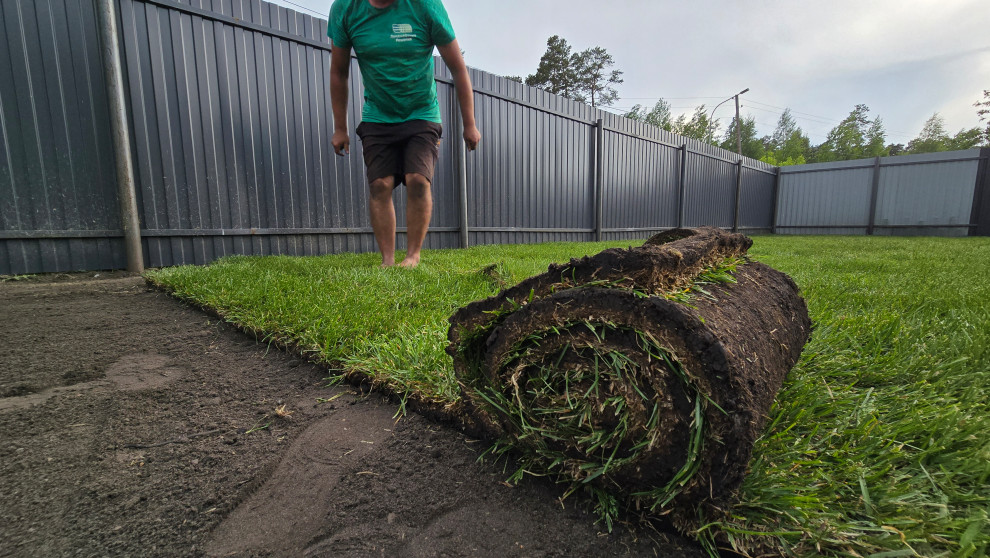 Укладка рулонного газона