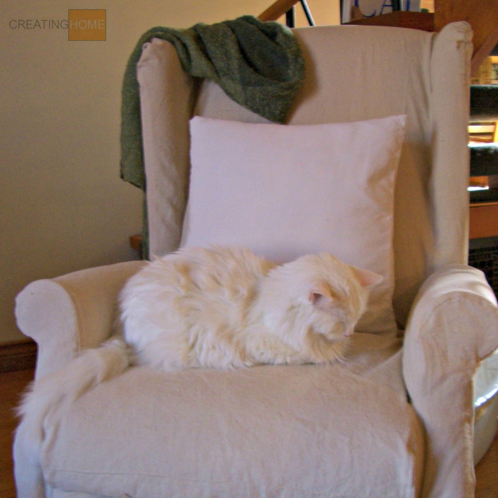 Home design - transitional home design idea in Toronto