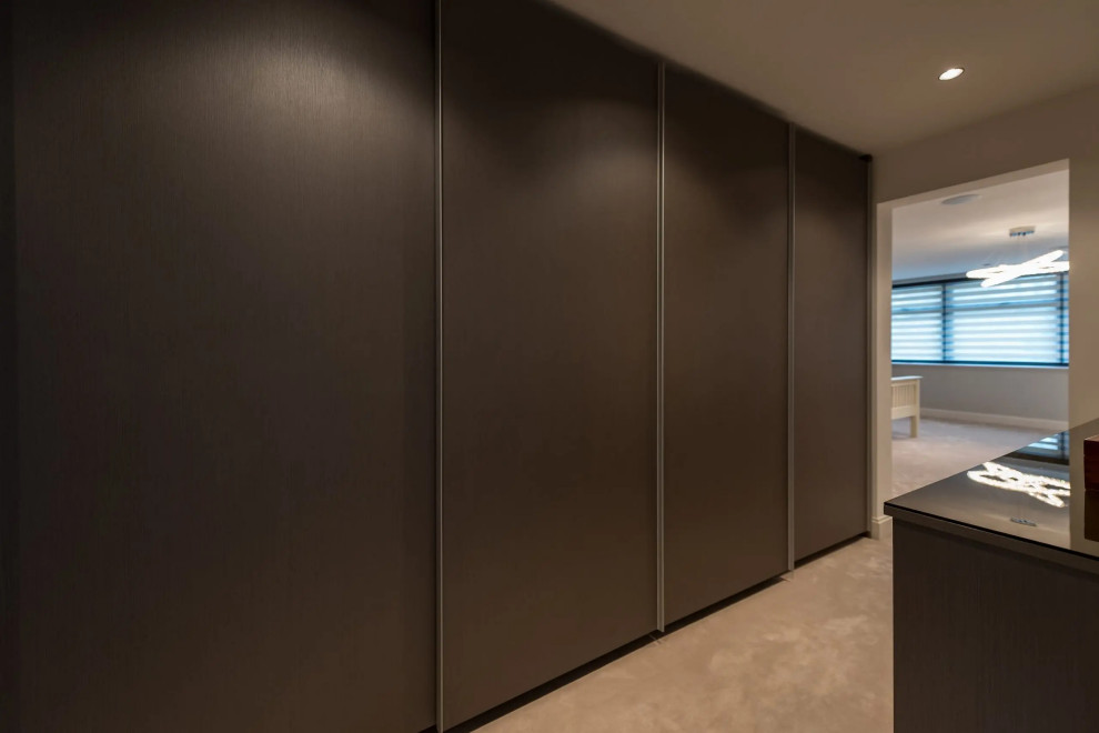 Design ideas for a small contemporary storage and wardrobe in London with flat-panel cabinets.