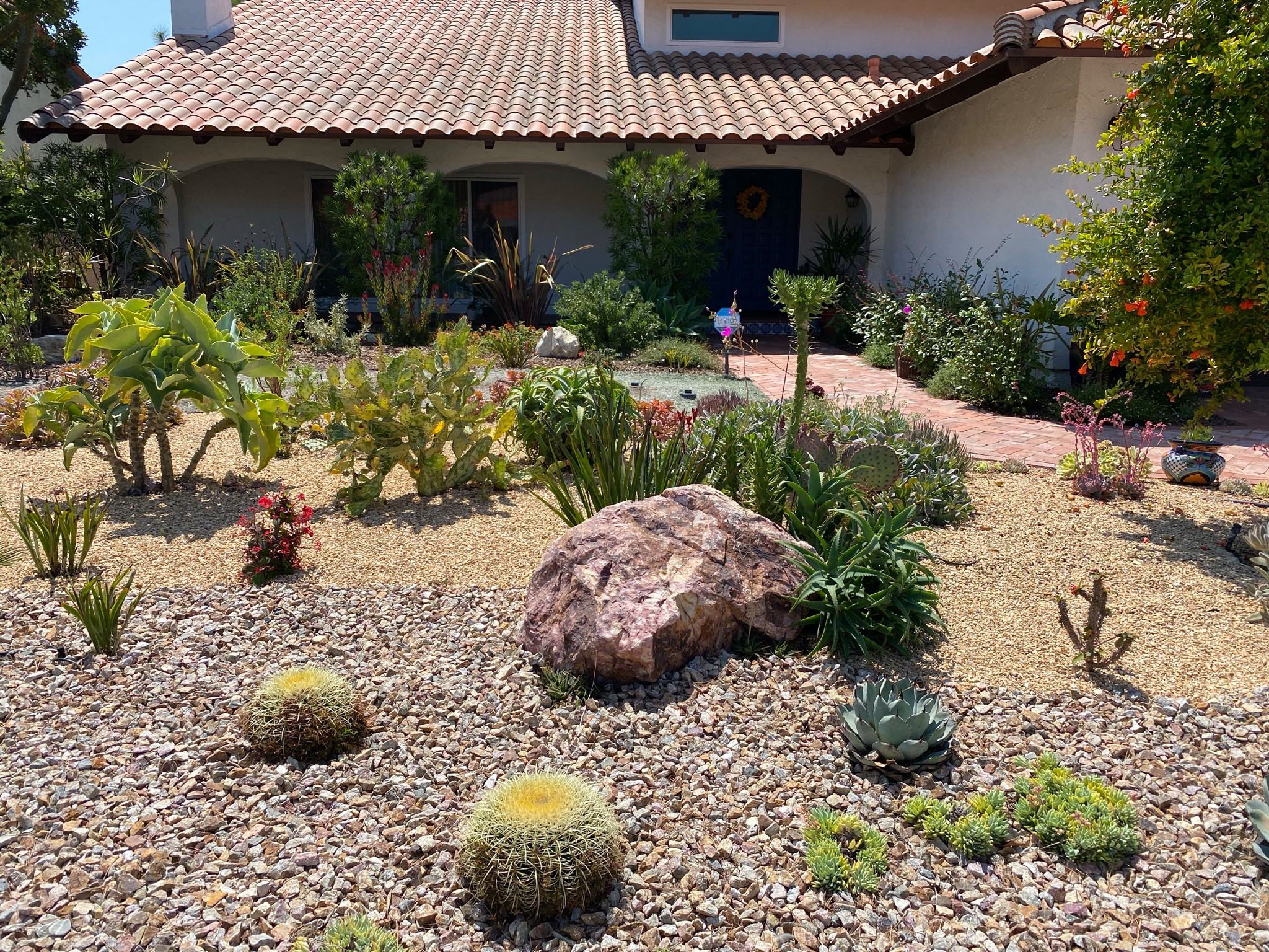 Rancho Palos Verdes, CA - Front Yard Regenerative Renovation