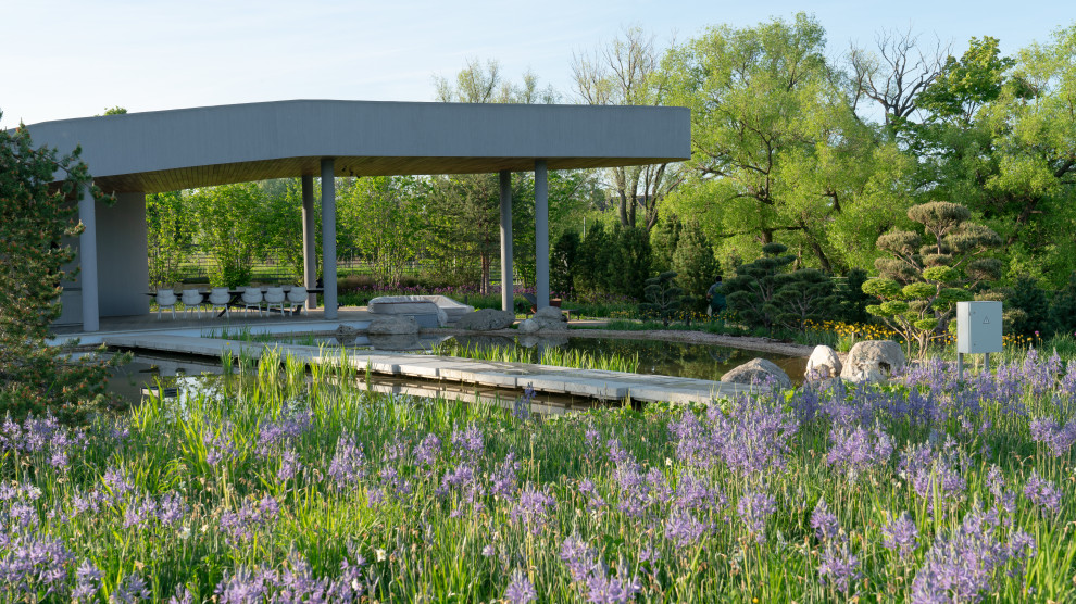 Природный сад. Жуковка XXI век. 2017-2018 гг.Arcadiagarden  xСад Аркадия  xArcad