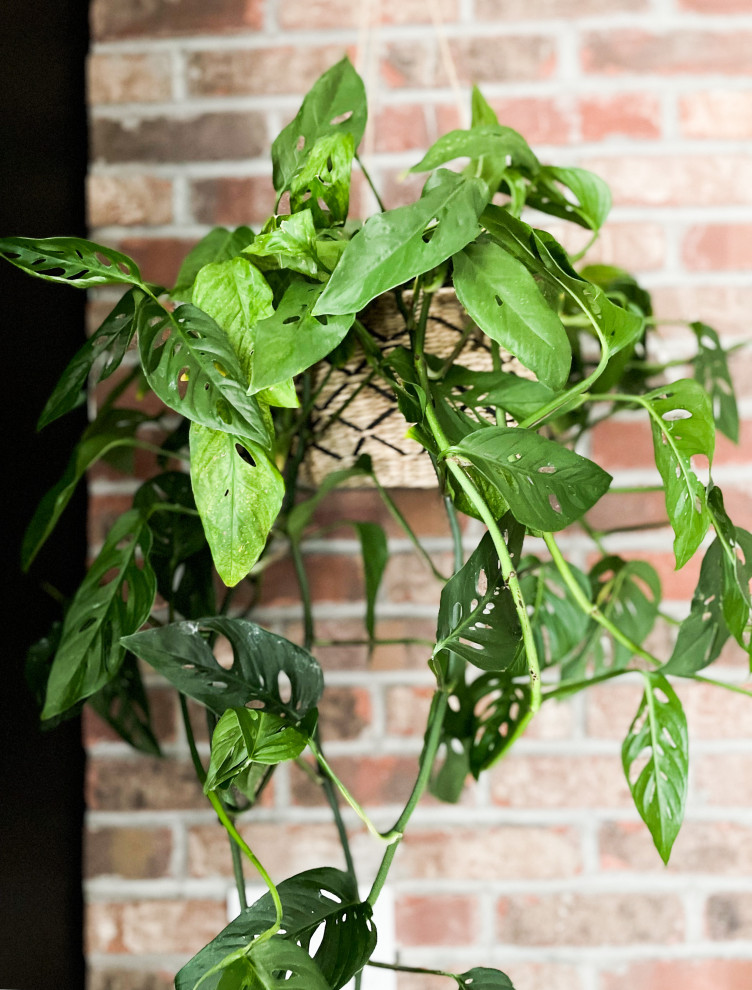 Urban Kitchen | Denver, CO | Modern Masculine Contemporary Renovation