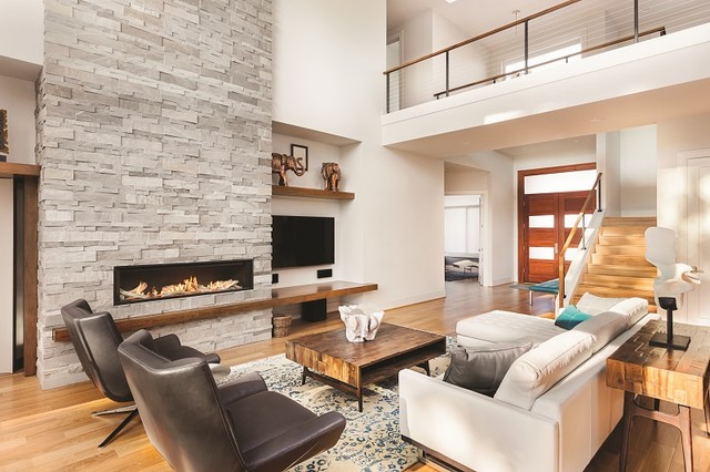 Valor Fireplaces Contemporary Living Room Vancouver By