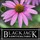 Blackjack Horticulture