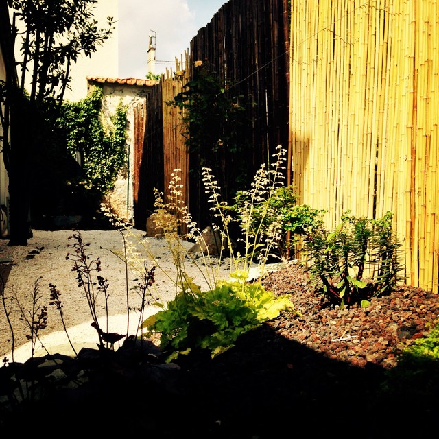 Jardin 2016 contemporary-garden