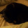 Last commented by denise_678