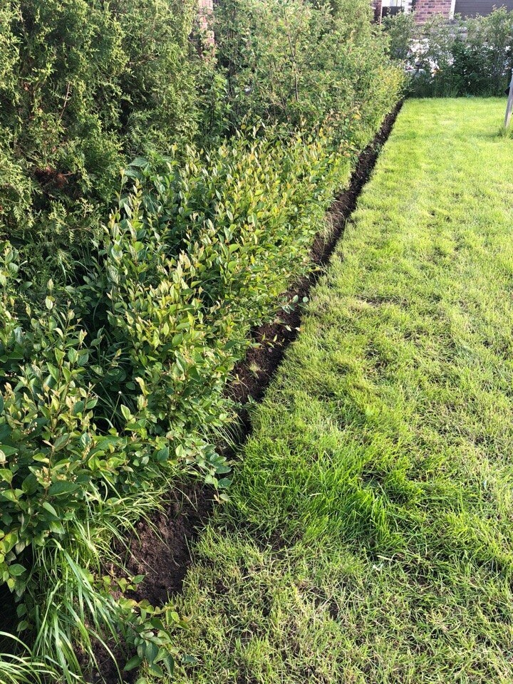 Равновесие