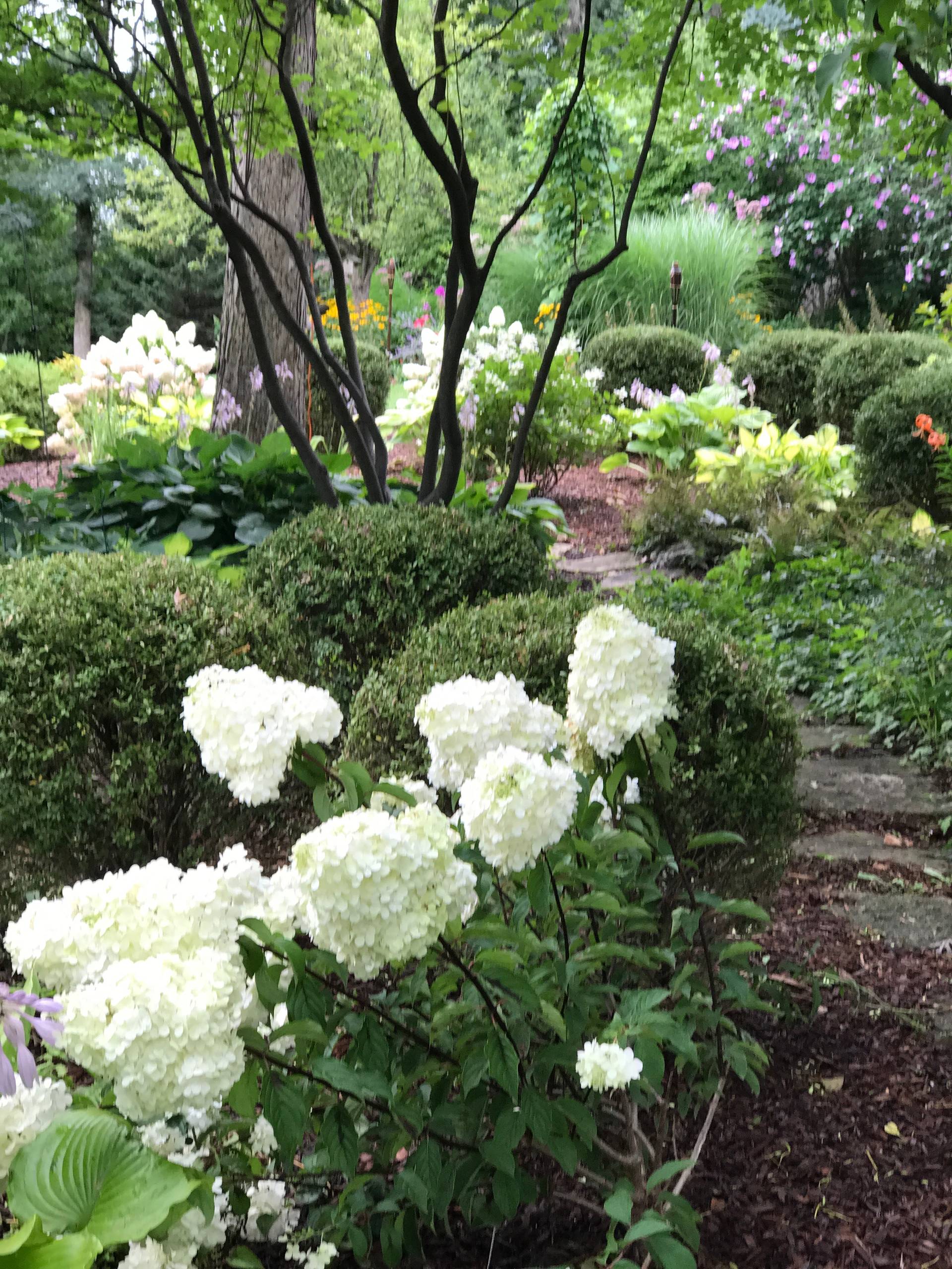 Garden Design for Easy Care