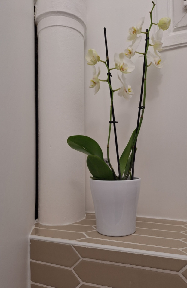 Rénovation totale de WC