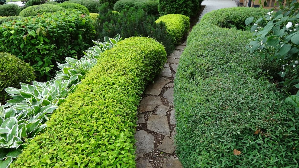 Примеры работ