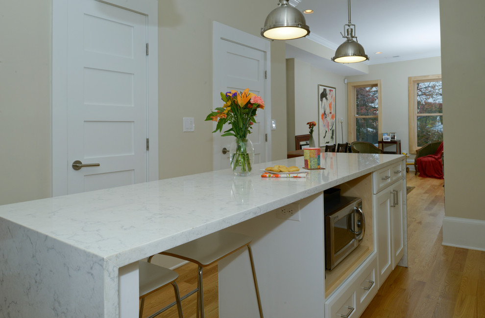 Kitchen - transitional kitchen idea in DC Metro