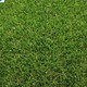 Evergreen Synthetic Turf Supply Canberra