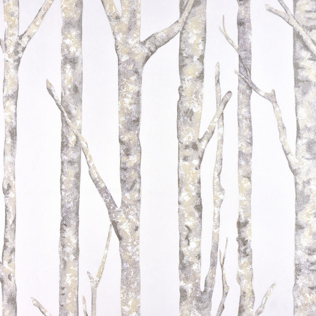 Cameron Off White Trees Wallpaper Contemporary By Brewster Home Fashions Houzz - Irvin Grey Birch Tree Wallpaper Cameron Off White Trees Wallpaper Contemporary By Brewster Home Fashions Houzz - Irvin Grey Birch Tree Wallpaper