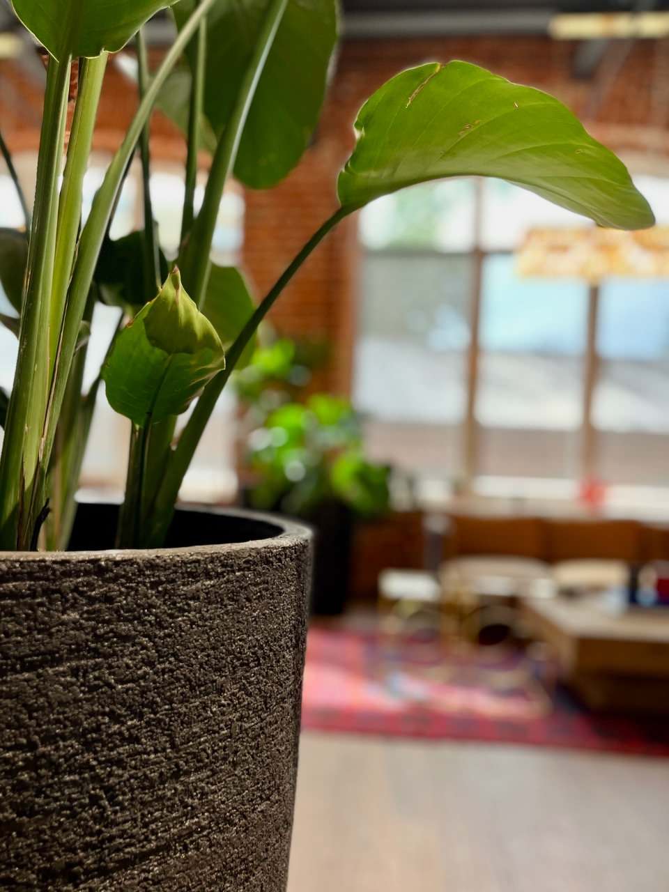 Шоурум Monncashmere