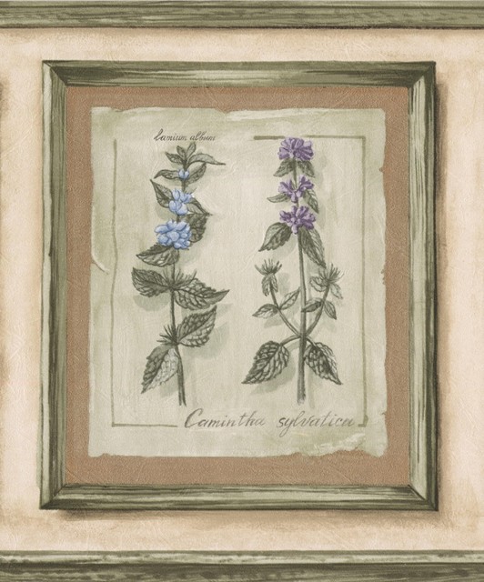 WALLPAPER BORDER FLOWERS IN FRAMES GRAPES FRUIT FLORAL NEW ARRIVAL FLOWER