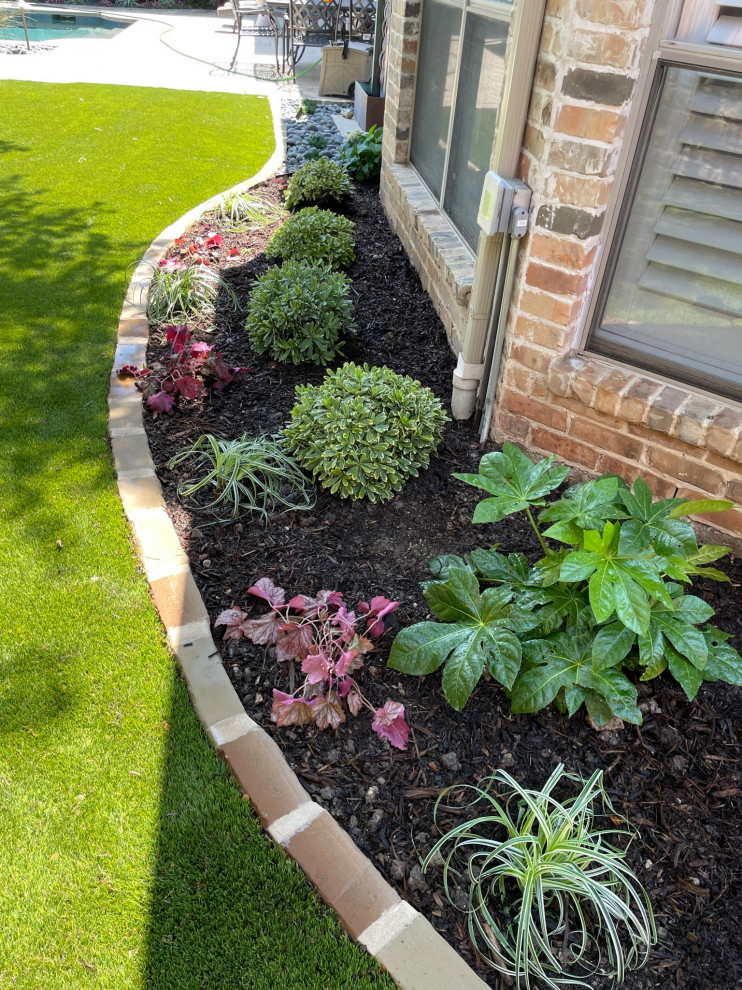 Back yard and pool landscape