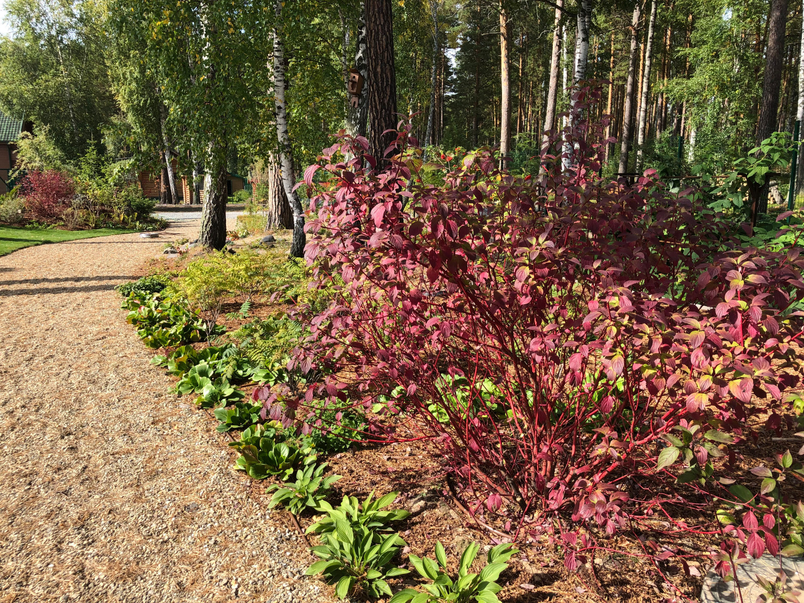 Усадьба на краю леса