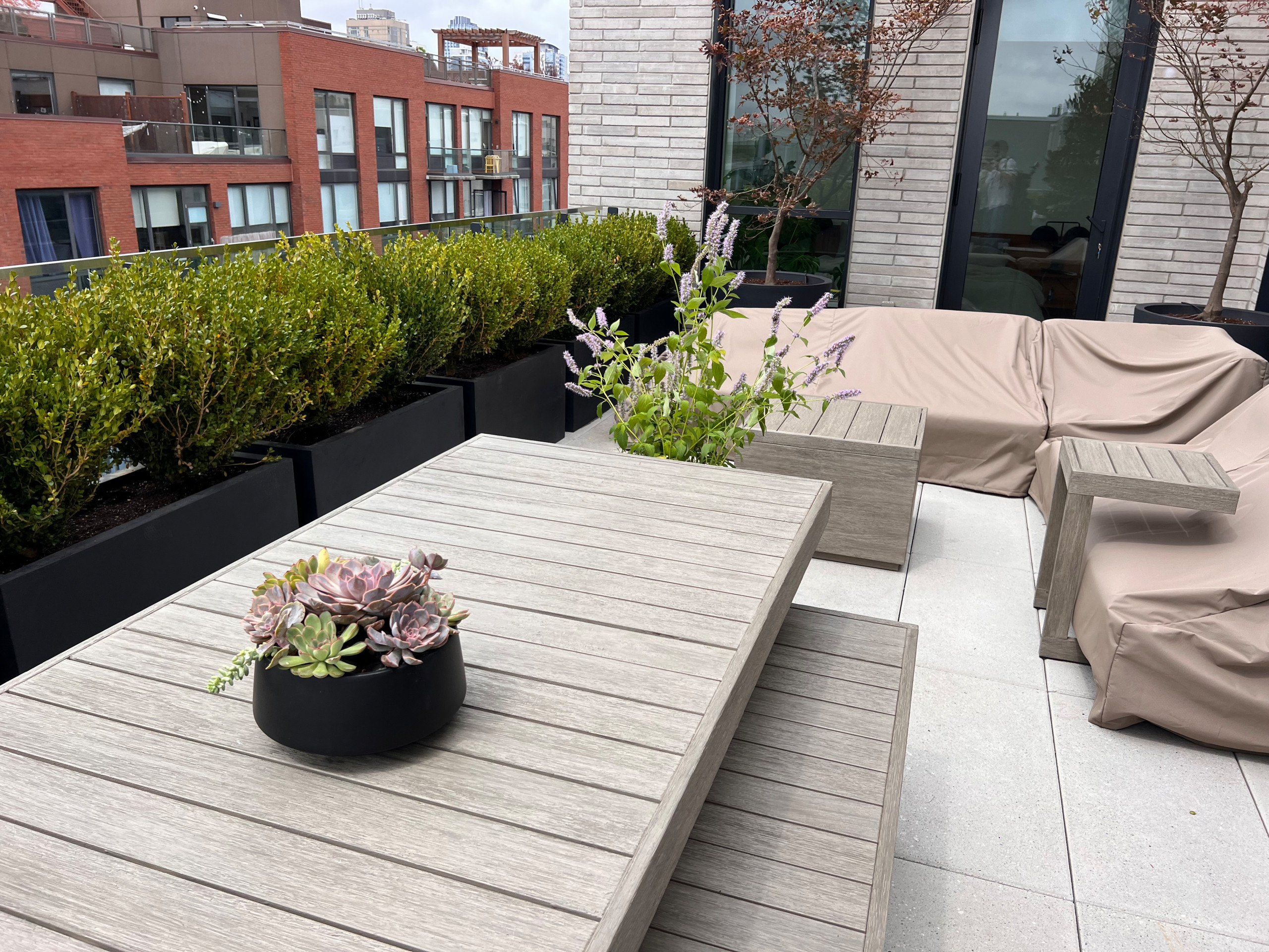 Williamsburg new terrace