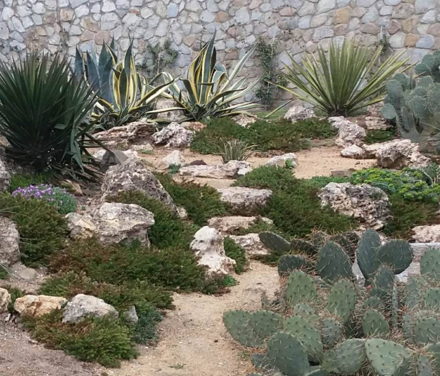 Large mediterranean sloped xeriscape full sun garden for summer in Other with a rockery and a stone fence.