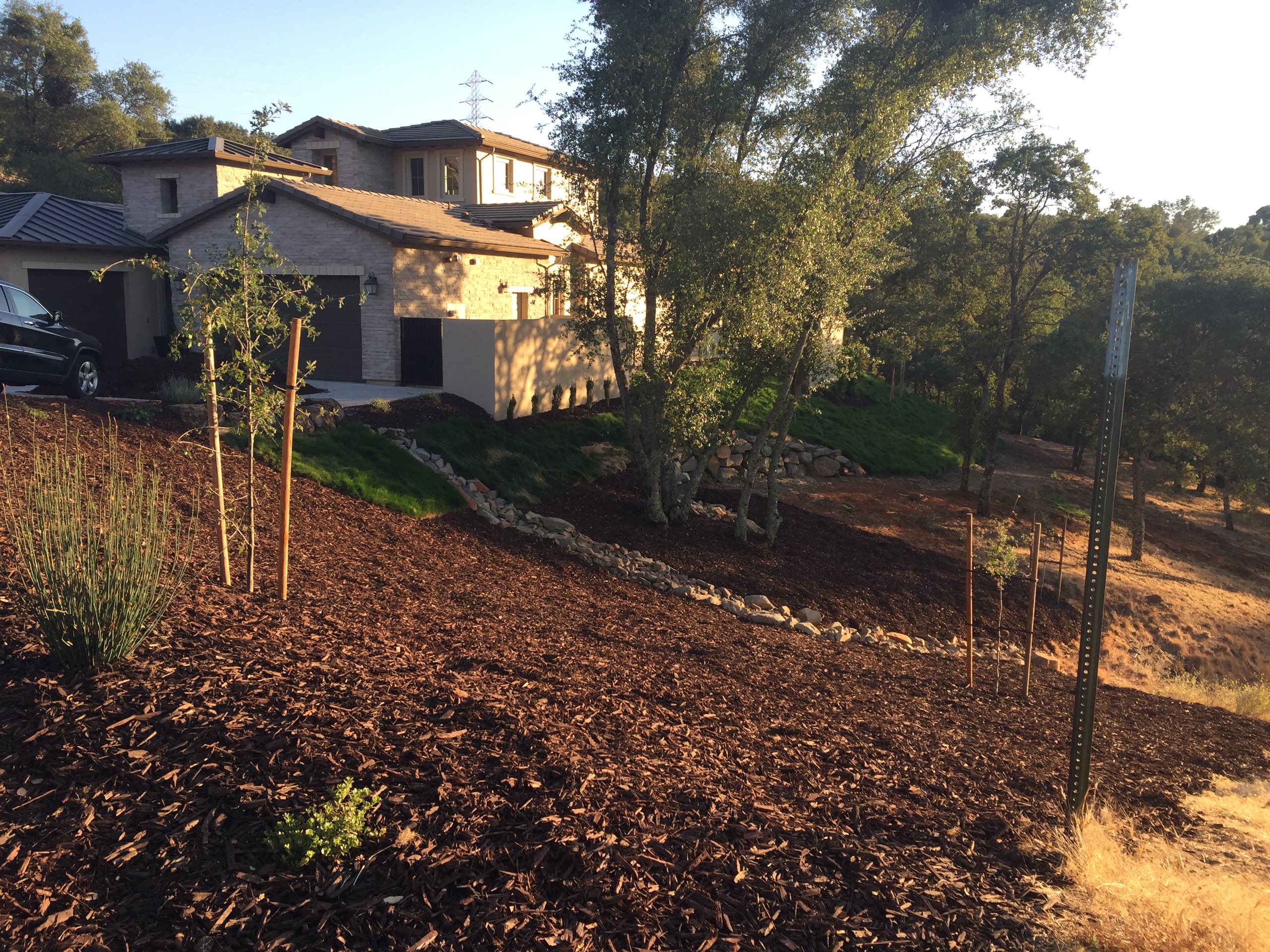 El Dorado Hills - Serrano Complete Landscape