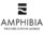 AMPHIBIA