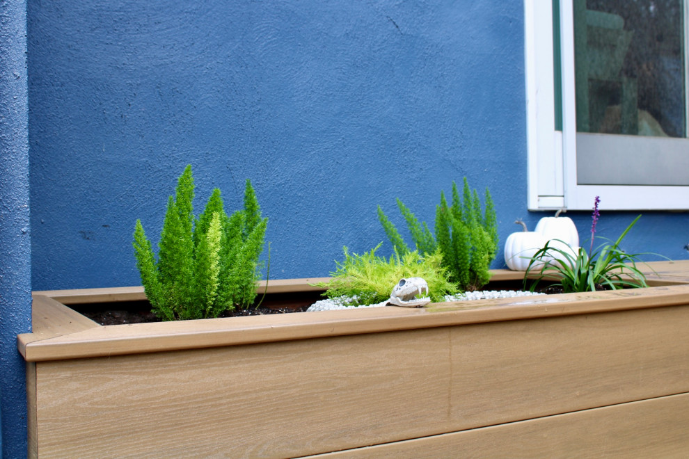 Cosy San Carlos Backyard