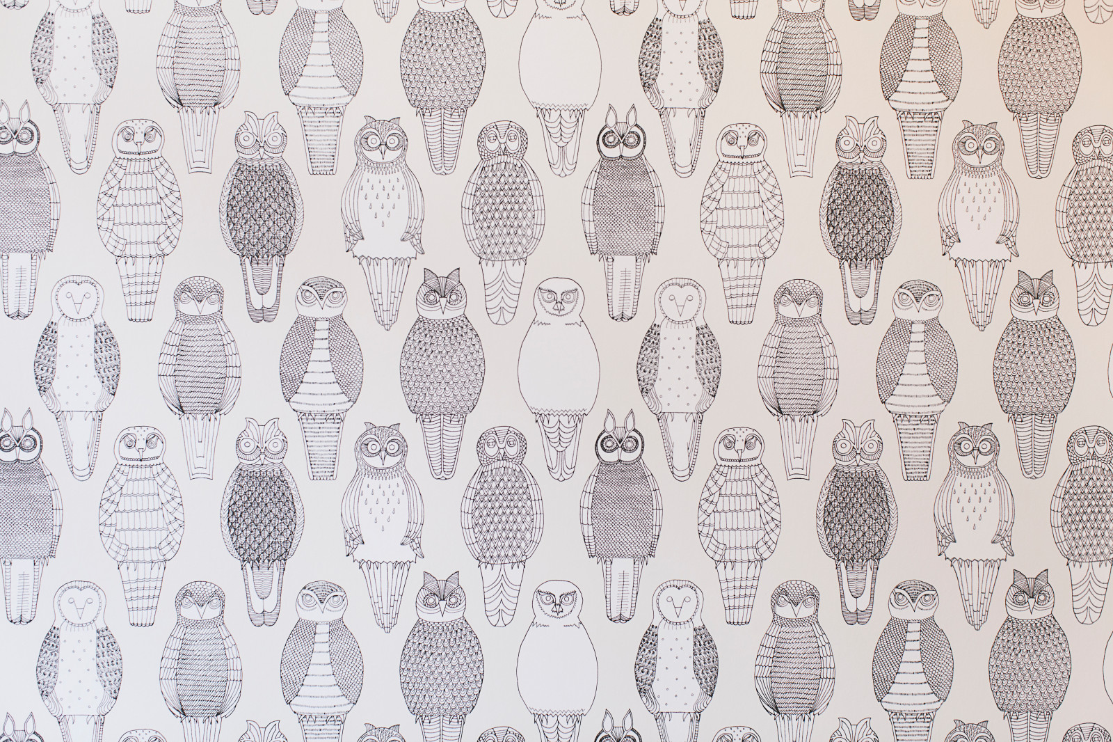 Катя/ Преображенская Площадь