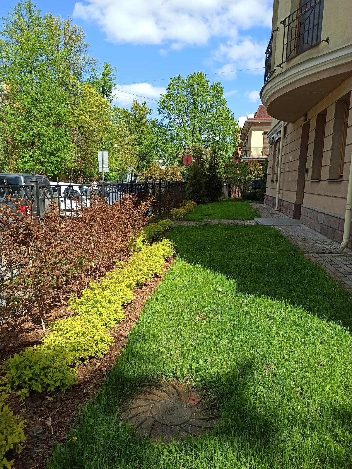 Озеленение бизнес-центра