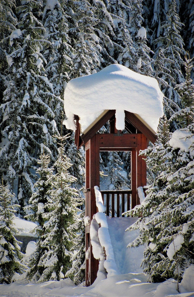 This is an example of a small rustic full sun backyard walkway for winter.