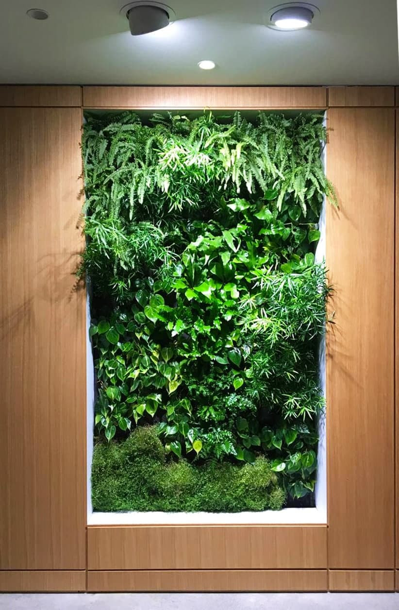 Фитостена в офисе