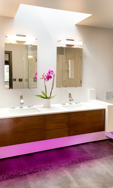 Palamarchuk contemporary-bathroom