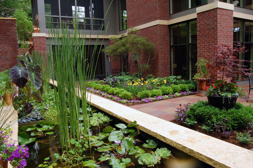 Inspiration for a modern garden in Minneapolis.