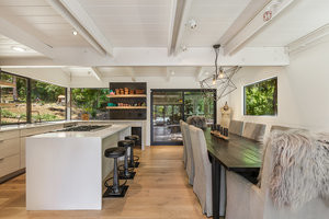 Marin Treehouse Remodel