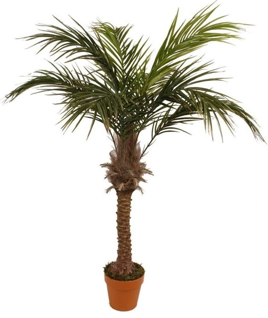 58.5" Decorative Potted Artificial Brown and Green Phoenix Palm Tree