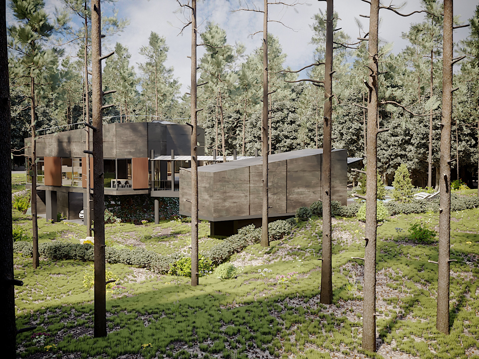 Проект частного дома в сосновом бору