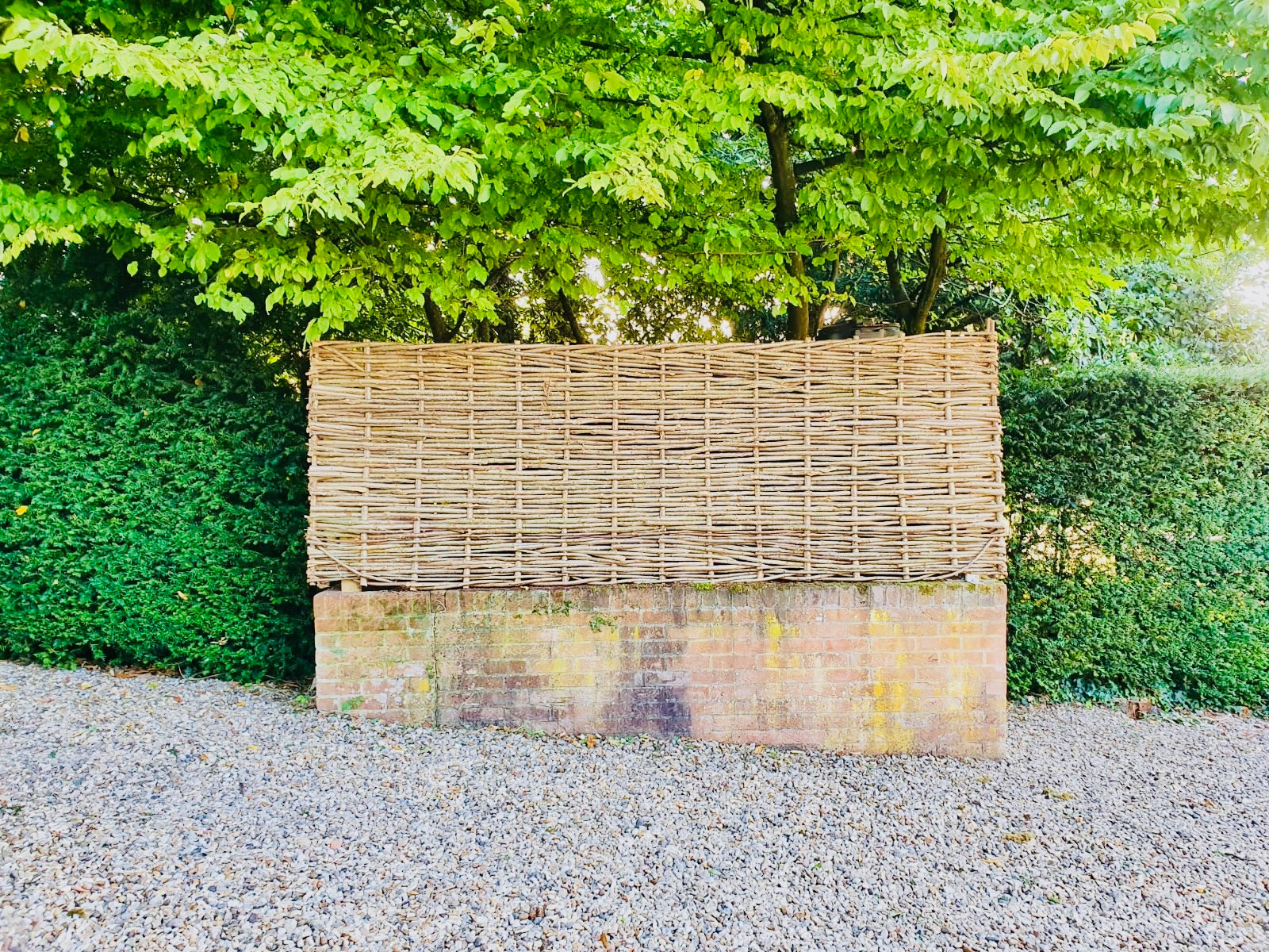 Garden Screening Ideas