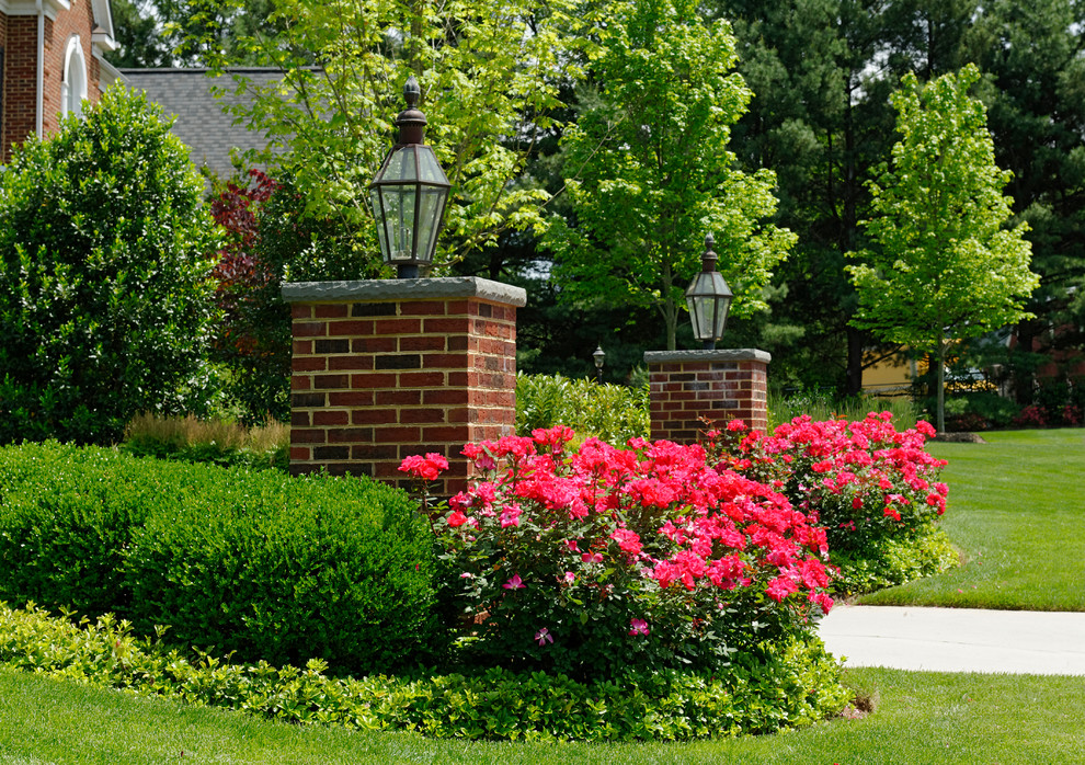 Photo of a transitional landscaping in DC Metro.