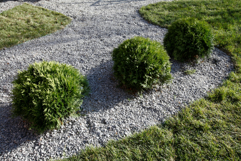 Летняя кухня с ледником. Проект для телепередачи «Дачный ответ»