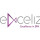 Excelize Software