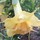 Last commented by patricia53110