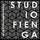 Studio Fienga - architettura&ingengeria